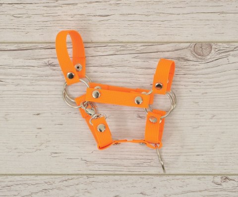 Kantar dla konia Hobby Horse uniwersalny A4 i A5 zapinany - neon orange