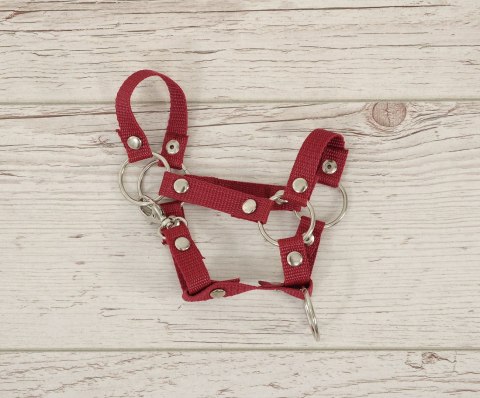 Kantar dla konia Hobby Horse uniwersalny A4 i A5 zapinany - bordowy